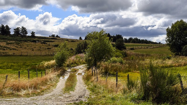 Complexe Euro-méditerranéen - vacances à Montrodat en Lozère